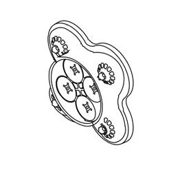 SHURflo 94-800-01 Fresh Water Pump Valve Assembly
