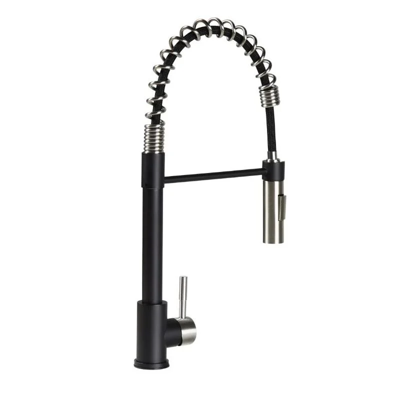 Lippert Flow Max Black/Stainless Steel Coiled Pull-Down Kitchen Faucet