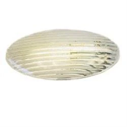 LaSalle Bristol GSAM4046 Replacement Oval Porch Light Lens - Clear